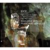 Download track 9. Sonata For Viola Da Gamba Keyboard No. 2 In D Major BWV 1028: Allegro