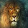 Download track About