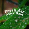 Download track Knowingly Rain