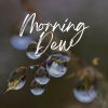 Download track Digital Rain, Pt. 1