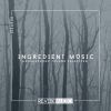 Download track Missing In Action (Nik Feral Remix)