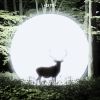 Download track Echolocation