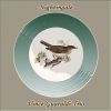 Download track A Flower Is A Lonesome Thing