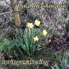 Download track There'll Be A Jubilee