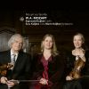 Download track Duo In G Major, KV. 423 For Violin And Viola (Salzburg, 1783): I. Allegro