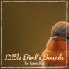Download track Little Bird