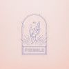 Download track Eight Belles At Midnight