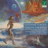 Download track Symphony No. 1 In E Major, Op. 26: II. Allegro Drammatico (Arranged By Aleksandr Winkler)