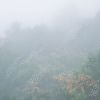 Download track Lone Wolf In A Heavy Snow