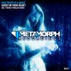 Download track Ghost In Your Heart (Pierre Pienaar Remix)
