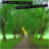 Download track The Decent Descendants - Just Poing It! [JP]