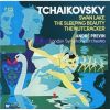 Download track 12. Swan Lake - Complete Ballet. Op. 20 Act 1 No. 5: Pas De Deux II. Andante - Allegro - Molto PiÃ¹ Mosso