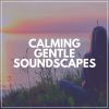 Download track Clarifying Sounds, Pt. 8