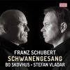 Download track Schwanengesang, D. 957: No. 1, Liebesbotschaft