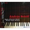 Download track 35. Symphonische Etüden Op. 13 Anhang Variation II