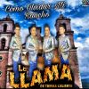 Download track Yo Te Amo
