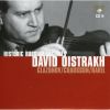 Download track 01. Violin Concerto In A Minor Op. 82 Moderato-Andante-Allegro