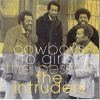 Download track Cowboys To Girls