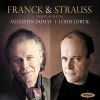 Download track Franck: Violin Sonata In A Major, FWV 8 - II. Allegro