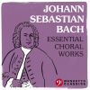 Download track Magnificat, BWV 243: X. Suscepit Israel