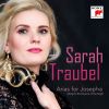 Download track Le Nozze Di Figaro, K. 492, Act 3: 