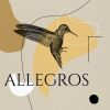 Download track Concerto For Two Cellos In G Minor, RV 531: I. Allegro