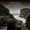 Download track 22 Sonata No. II In A Minor, BWV 1003 - Grave