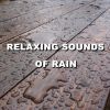 Download track Exceptional Meditation Rain Sounds