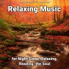 Download track New Age Music For Everyone