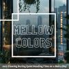 Download track Reflections Through Wet Glass