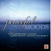 Download track Adagio For Strings
