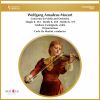 Download track Concerto For Violin And Orchestra No. 1 In B-Flat Major, K. 207: I. Allegro Moderato