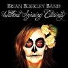 Download track Pretty Lady