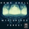 Download track Mysterious Forest