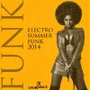 Download track Funk Robot