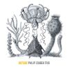 Download track Spaces In Between