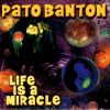 Download track Life Is A Miracle