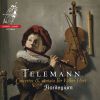 Download track Concerto In D Major, TWV51: D2 - II. Allegro