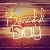 Download track Beautiful Day