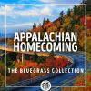 Download track 900 Miles