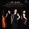 Download track Piano Trio No. 2 In E Minor, Op. 67 II. Allegro Con Brio