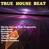 Download track Music Is Moving (Big In Ibiza Mix)