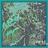 Download track Well