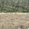 Download track A Different Place