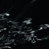 Download track Inversion 2. 3 (Original Mix)
