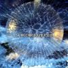 Download track Freshly Enlightened