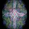Download track Zen Desires