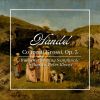 Download track Concerto Grosso In D Minor, Op. 3 No. 5, HWV 316: IV. Allegro Ma Non Troppo