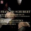 Download track String Quintet In C Major For Two Violins, Viola And Two Celli, Op. 163 D. 956: I. Allegro Ma Non Troppo