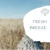 Download track Sea Level
